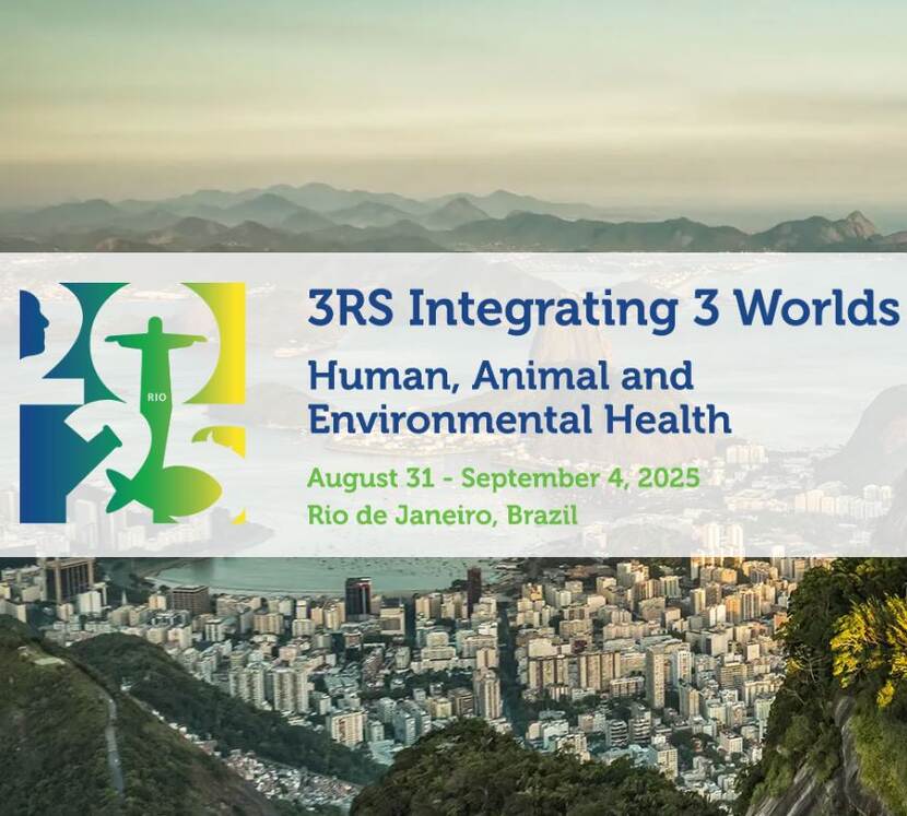 logo World Congress 13 Rio